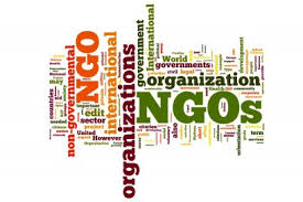 Back to Basics: What is an NGO?