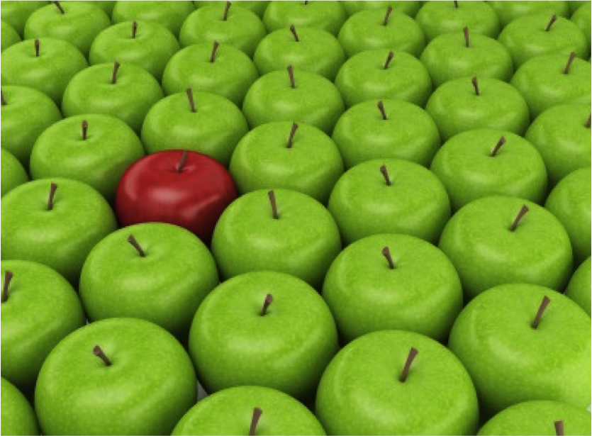 Donor Retention: Standing Out in the Crowd