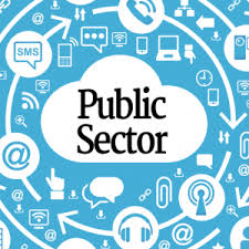 Back to Basics: Understanding the Public Sector